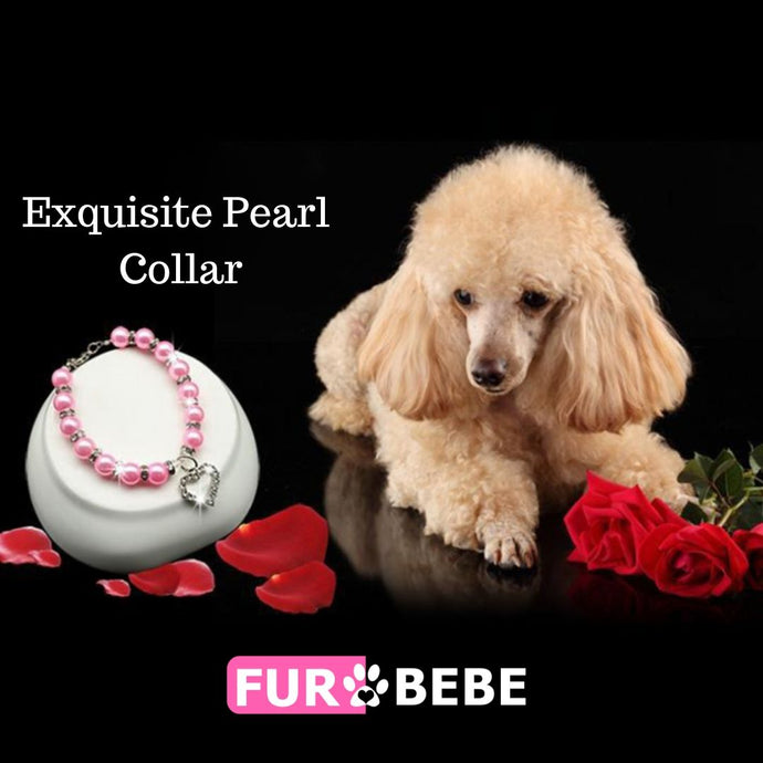 Fur Bebe Exquisite Pearl Collar