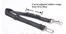 Load image into Gallery viewer, Fur Bebe Elasti Seat Belts