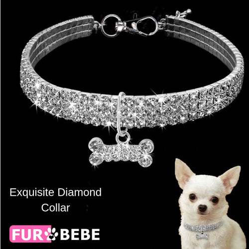 Fur Bebe Exquisite Diamond Collar