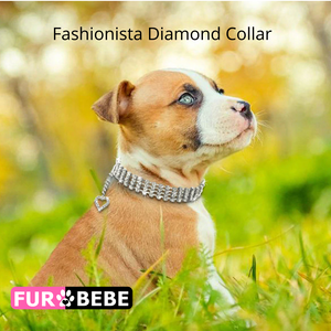 Fashionista Diamond Collar