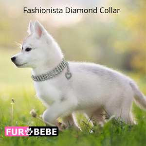 Fashionista Diamond Collar