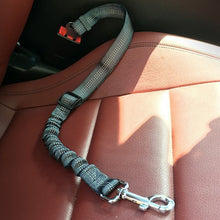 Load image into Gallery viewer, Fur Bebe Elasti Seat Belts