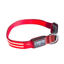 Load image into Gallery viewer, Premium LED Collar - (IPX4 Rated)