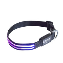 Load image into Gallery viewer, Premium LED Collar - (IPX4 Rated)