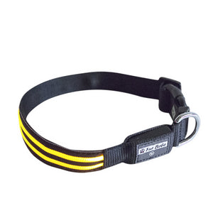 Premium LED Collar - (IPX4 Rated)
