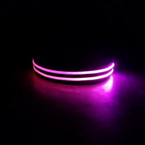 Waterproof LED Collar