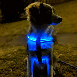 Waterproof LED Harness