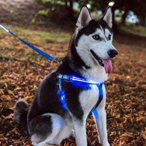 Waterproof LED Harness