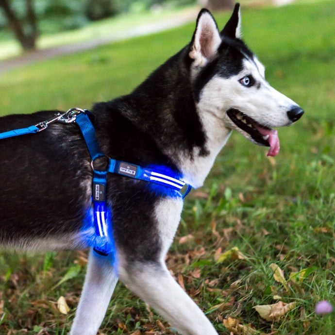 Waterproof LED Harness