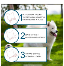 Load image into Gallery viewer, Koatshine Flea &amp; Tick Collar