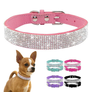 Fur Bebe - Extravagant Diamond Collar