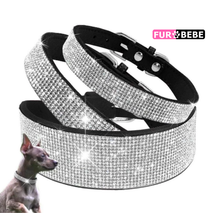 Fur Bebe - Extravagant Diamond Collar