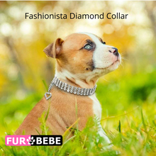 Load image into Gallery viewer, Fashionista Diamond Collar