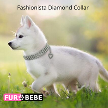 Load image into Gallery viewer, Fashionista Diamond Collar