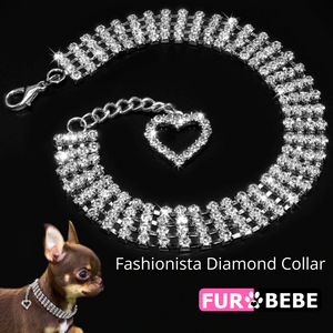 Fashionista Diamond Collar