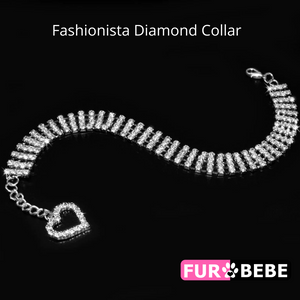 Fashionista Diamond Collar