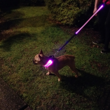 Load image into Gallery viewer, Premium LED Leash - (IPX4 Rated)