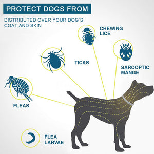 Koatshine Flea & Tick Collar