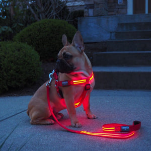 Waterproof LED Harness