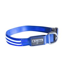 Load image into Gallery viewer, Premium LED Collar - (IPX4 Rated)