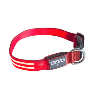 Premium LED Collar - (IPX4 Rated)